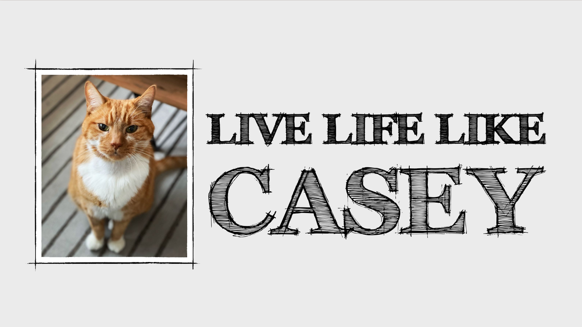 Live Life Like Casey